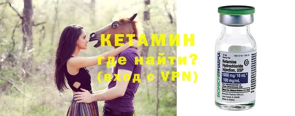 шишки Переславль-Залесский