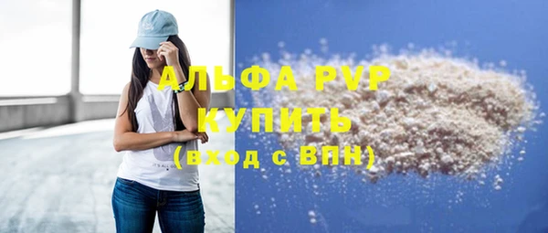 ECSTASY Пересвет
