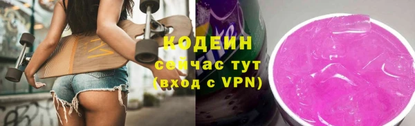 шишки Переславль-Залесский