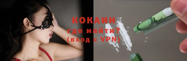 шишки Переславль-Залесский
