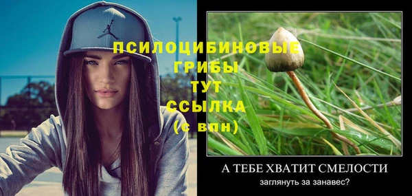 МДМА Пестово