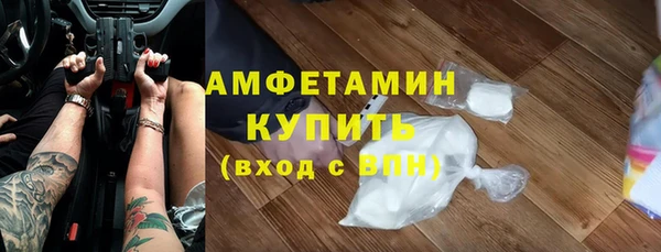 ECSTASY Пересвет
