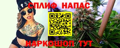 гидра Беслан