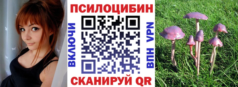 Галлюциногенные грибы ЛСД  купить наркотик  Богородск 