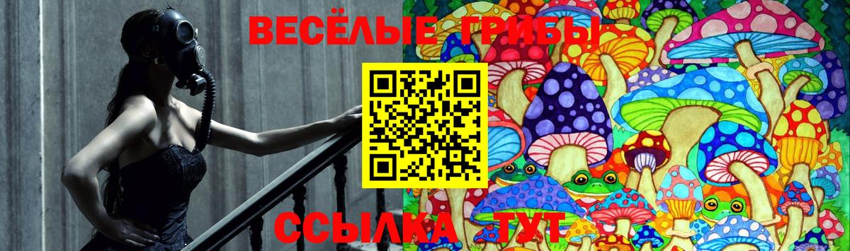Псилоцибиновые грибы Cubensis  купить наркоту  Богородск  Галлюциногенные грибы Psilocybe  Вход с VPN 
