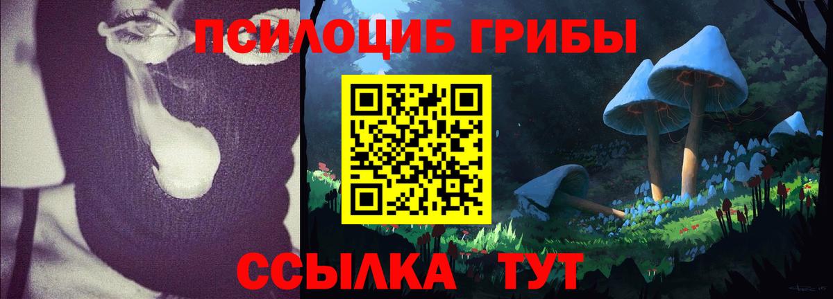 Псилоцибиновые грибы мицелий  купить наркотик  Богородск  Псилоцибиновые грибы мухоморы 